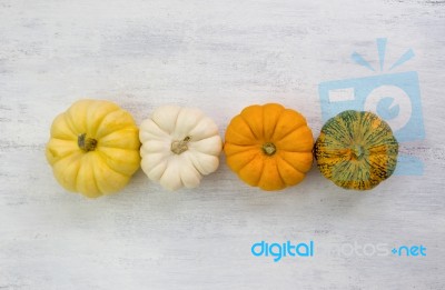 Mini Colorful Pumpkin Stock Photo