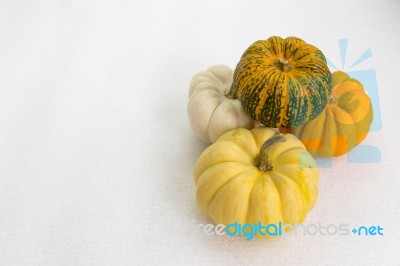 Mini Pumpkin Stock Photo