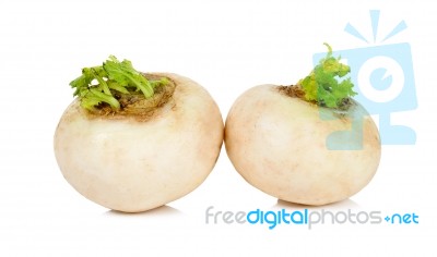 Mini White Turnip Isolated On White Background Stock Photo