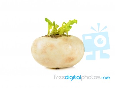 Mini White Turnips Isolated On White Stock Photo