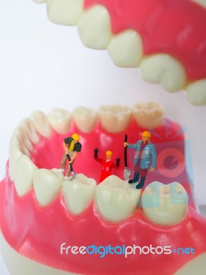 Miniature Worker On Plastic Teeth Of Removable Denture. Dental H… Stock Photo