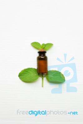 Mint Essential Oil In A Glass Bottle With Leaves On White Backgr… Stock Photo