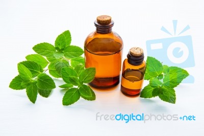 Mint Essential Oil In A Glass Bottle With Leaves On White Backgr… Stock Photo