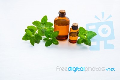 Mint Essential Oil In A Glass Bottle With Leaves On White Backgr… Stock Photo