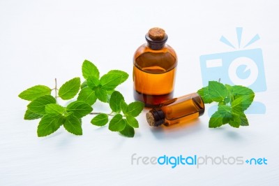 Mint Essential Oil In A Glass Bottle With Leaves On White Backgr… Stock Photo