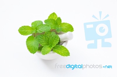 Mint  Leaves In Porcelain Mortar On White Stock Photo