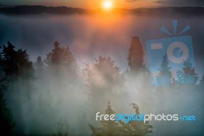 Mist At Sunrise In Tuscany Stock Photo