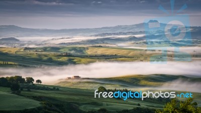 Mist Swirling Through Val D'orcia Stock Photo