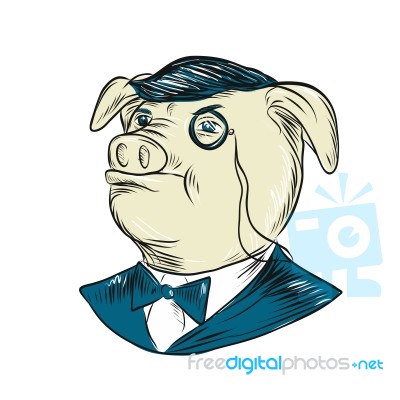 Mister Pig Monocle Drawing Stock Image