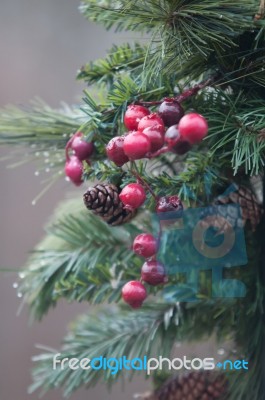 Mistletoe On Lamp Post Stock Photo