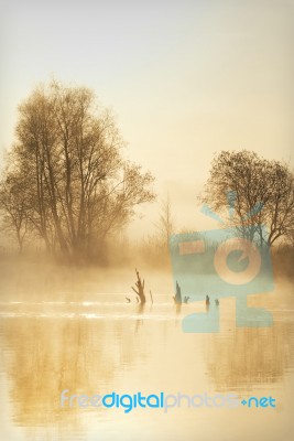 Misty Atmosphere Stock Photo