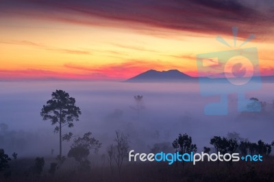 Misty Clouds Beautiful Foggy Forest During Sunrise Mountains Stock Photo