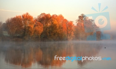 Misty Lake Stock Photo