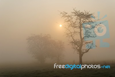 Misty Landscape Stock Photo