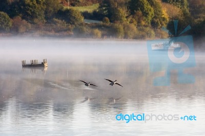 Misty Morning At Weir Wood Reservoir Stock Photo