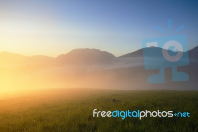 Misty Morning On Meadow Stock Photo