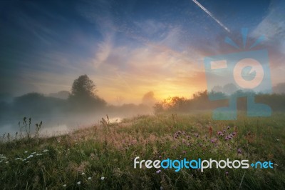 Misty Morning On The River Stock Photo