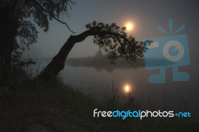 Misty Night Landscape Stock Photo