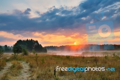 Misty Summer Sunrise. Foggy River In The Morning. Misty Morning Stock Photo