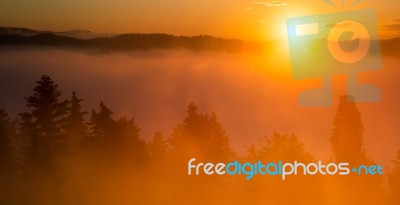 Misty Sunrise In Tuscany Stock Photo