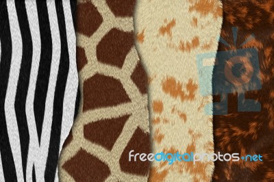 Mix Animal Fur Stock Image