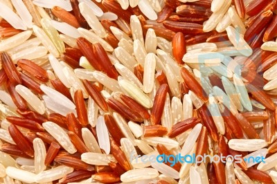 Mixed Rice Grain Stock Photo