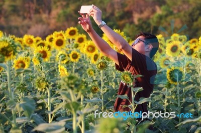 Mobile Phone Stock Photo