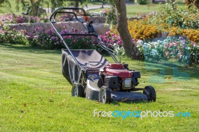 Modern Gasoline Lawn Mower Stock Photo