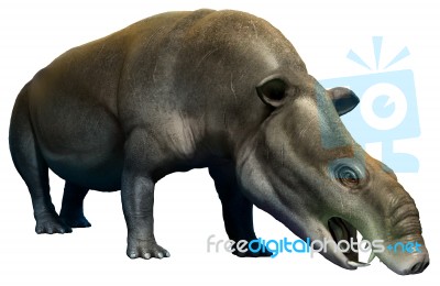 Moeritherium Stock Image