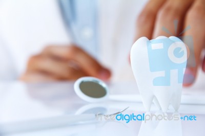 Molar,dental Concept Stock Photo