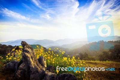 Moncham Chiangmai Thailand Stock Photo