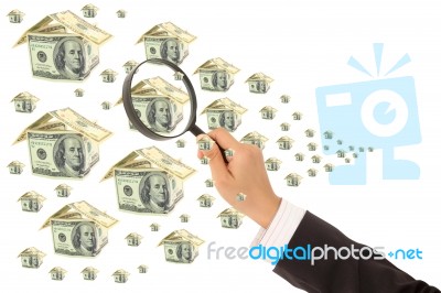 Money And Magnifying Glass In Hand Stock Image