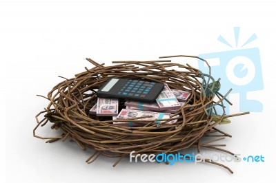 Money In Nest Stock Image