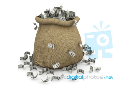 Money In The Bag Stock Image