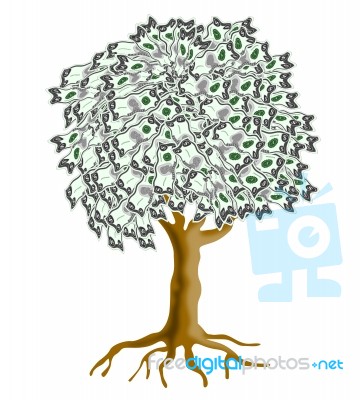 Money Tree Stock Image