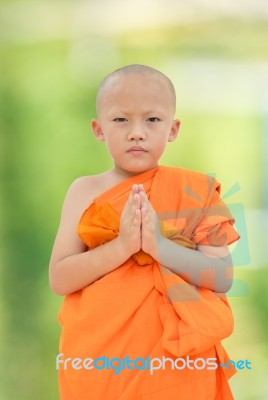 Monk Stock Photo