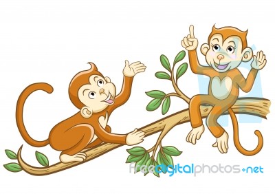 Monkey Stock Image