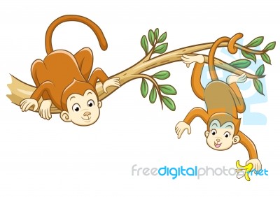 Monkey Stock Photo