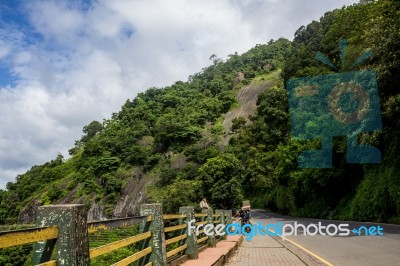 Monkey Sitting On The Side Of A Highway With Tall Hill In The Ba… Stock Photo