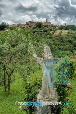 Montalcino, Tuscany/italy - May 20 : Statue In The Grounds Of Sa… Stock Photo