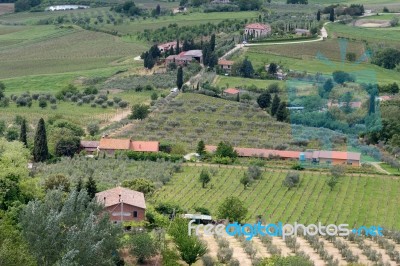 Montepulciano, Tuscany/italy - May 17 : Farmland In Val D'orcia Stock Photo