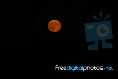 Moon Stock Photo