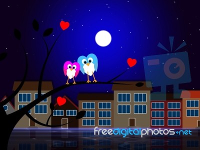 Moon Owls Represents Night Time And Apartment Stock Image