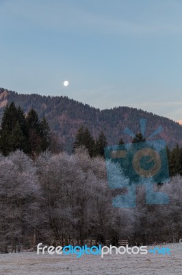 Moon Rising On A Frosty Morning Stock Photo