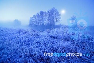 Moonlight Winter Misty Night. Snow And Frost On Grass Stock Photo