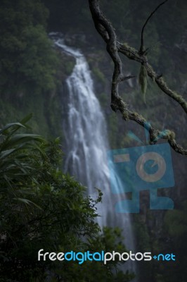 Morans Falls In Tamborine Mountains Stock Photo