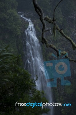 Morans Falls In Tamborine Mountains Stock Photo