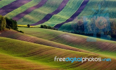 Moravia Hillsides. Spring, April Stock Photo