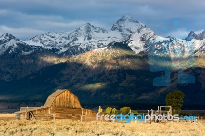 Mormon Row Stock Photo