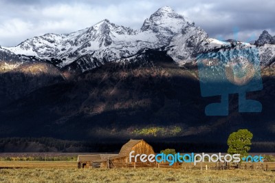 Mormon Row Stock Photo